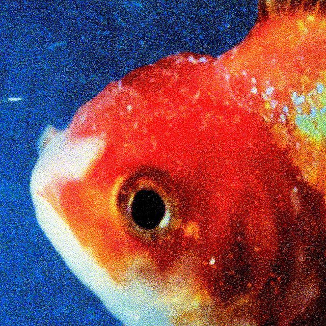 The 250 Greatest Albums of the 21st Century So Far