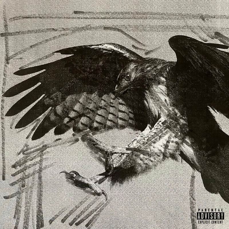 Single artwork for Do Not Distrub by Clay Captcha