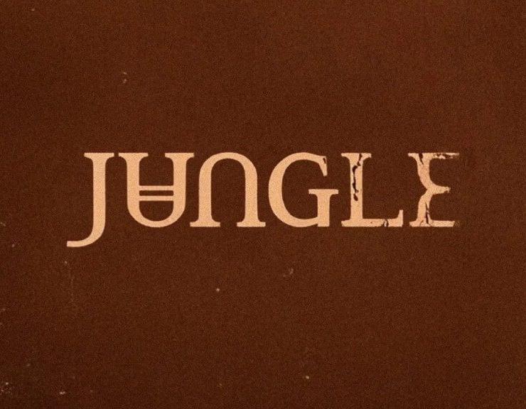 Predictability Clouds Jungle’s 'Sunshine'